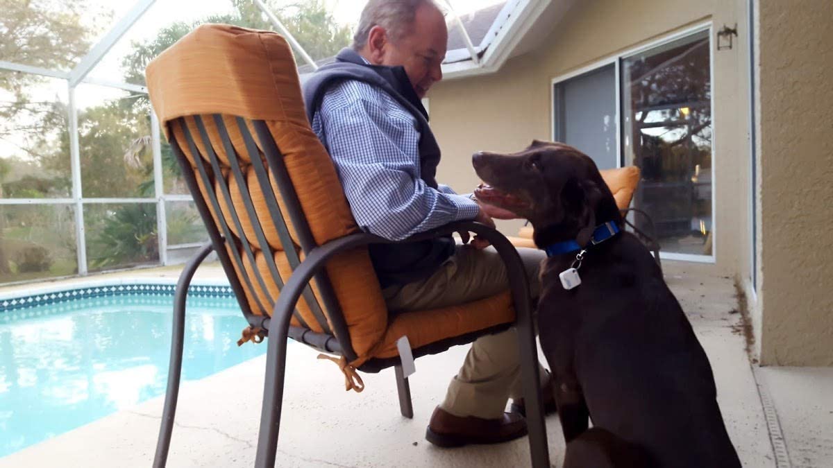 Autoslide Elite iLock K9 Automatic Pet Door