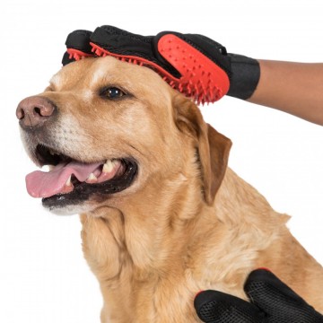 Teddy Dog Grooming Mitts